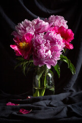 Still Life with Glass Vase with Dark Pink and Light Pink Peonies with Dark Grey Fabric Background