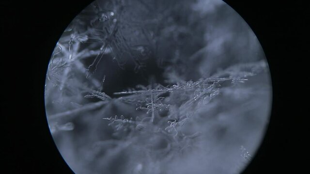 plunging into the depths of micro space. Snow under the microscope