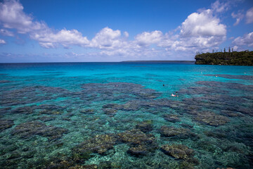 tropical island reef 