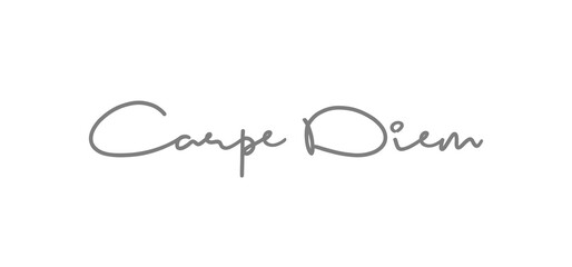 Carpe Diem lettering text, hand drawn typographic style phrase. Motivational quote handwritten design.