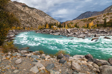 Beautiful view on mountain river Katun, Ilgumen threshold, Altai Republic, Russia. Natural autumn...