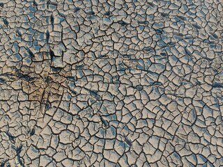 Desert, Dry land