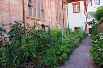 Fototapeta na wymiar The grass and roses that bloom between the alleys