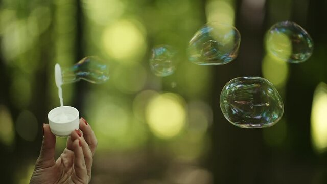 soap bubbles on the background of the forest, the filming shows how the bubble is inflated