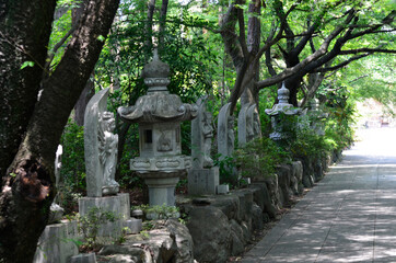 Fototapeta na wymiar At the back of the path lined with stone lanterns and stone statues, there is a historic temple.