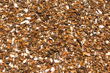 Background of brown sea pebbles with parts of white seashells