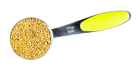 yellow seeds of White Mustard in measuring spoon