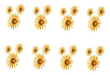 Seamless pattern of a yellow flower with elements of floral and white background