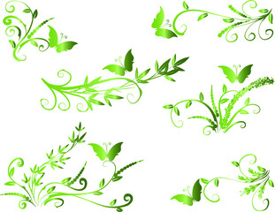 vector drawing butterfly and bamboo plant design set background
