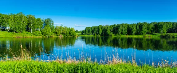 Foto op Plexiglas summer river or lake surrounded by young birch forest, clear bright blue sky, summertime sunny day panoramic landscape © MasterSergeant