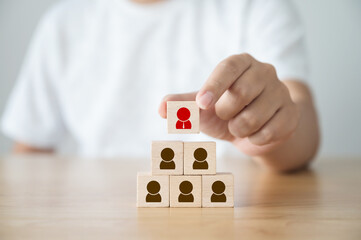Human resource management and recruitment business concept, Hand putting wood cube block on top...