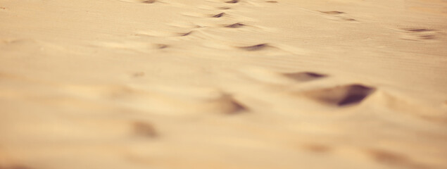 High resolution sand texture. Sandy beach for background. Top view 