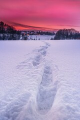 Zimowy krajobraz pół zasypanych śniegiem w czasie zachodu słońca