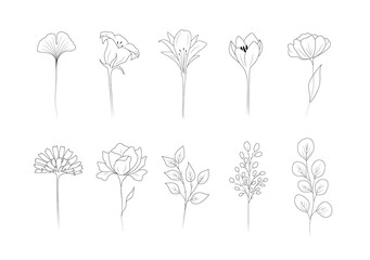 Collection of linear flowers. Abstract minimalistic design for logo, wedding invitations, postcards, textile. Modern vector illustration.