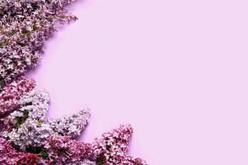 Beautiful lilac flowers on color background