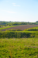 Fototapeta na wymiar Rural landscape of fields and meadows 