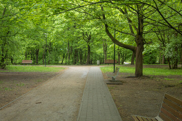 A cobbled path in a city park made of stones
