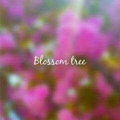Summer blurred background. Blurry. Pink background poster concept