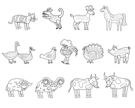 Farm set animals coloring book educational illustration for children. Set cute cow, buffolo, sheep, duck, rooster, horse colouring page. Vector black white outline cartoon characters