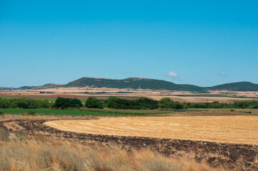 Fototapeta premium Landscape. Big space. Golden field after harvesting.