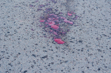 Splattered human blood on the road.