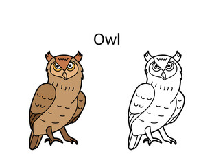 Funny cute bird owl isolated on white background. Linear, contour, black and white and colored version. Illustration can be used for coloring book and pictures for children