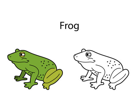 Funny cute animal frog isolated on white background. Linear, contour, black and white and colored version. Illustration can be used for coloring book and pictures for children