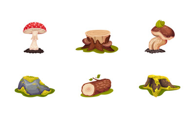 Forest Elements with Mossy Stump, Mushrooms and Log Vector Set