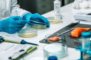 Microbiological Quality Assessment - Testing Salmon Fish Sample