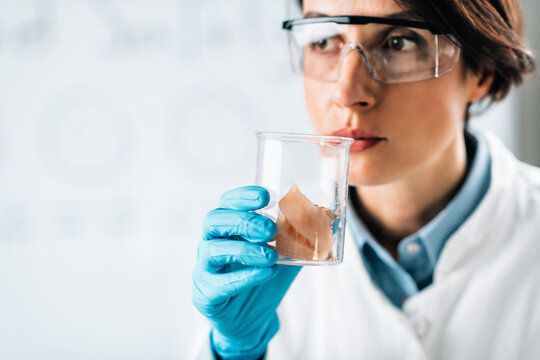 Sensory Analysis Of Sea Fish Sample In A Test Tube. Food Safety Inspector Smelling Sample In Laboratory