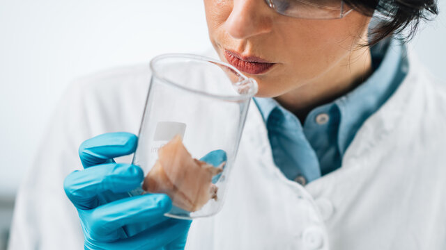 Sensory Analysis Of Sea Fish Sample In A Test Tube. Food Safety Inspector Smelling Sample In Laboratory