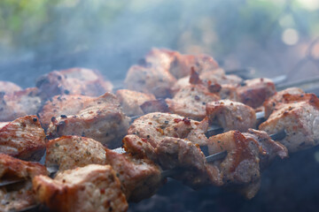 Shish Kebab skewer grill. Delicious background of roast pork, beef. The concept of summer outdoor recreation, picnic. Cooking meat on an open fire. Delicious crispy toasted barbecue. Atmospheric smoke