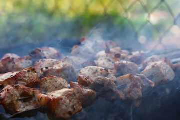 Shish Kebab skewer grill. Delicious background of roast pork, beef. The concept of summer outdoor recreation, picnic. Cooking meat on an open fire. Delicious crispy toasted barbecue. Atmospheric smoke