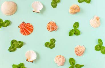 Summer background. Seashells and green leaves of clover on a minimal blue background. Place for your text.