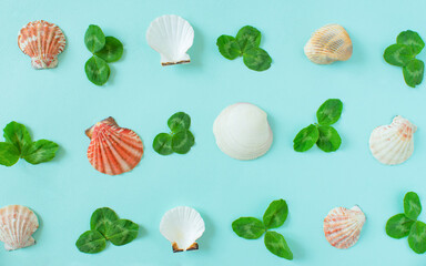 Summer background. Seashells and green leaves of clover on a minimal blue background. Place for your text.