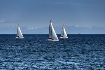 Fototapeta premium White sailing boats