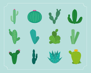 cactus plants set