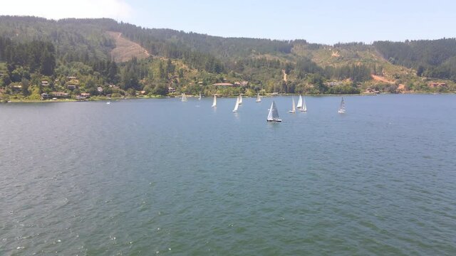 AERIAL - Sailboats during a regatta in Lake Vichuquen, Chile, wide shot forward