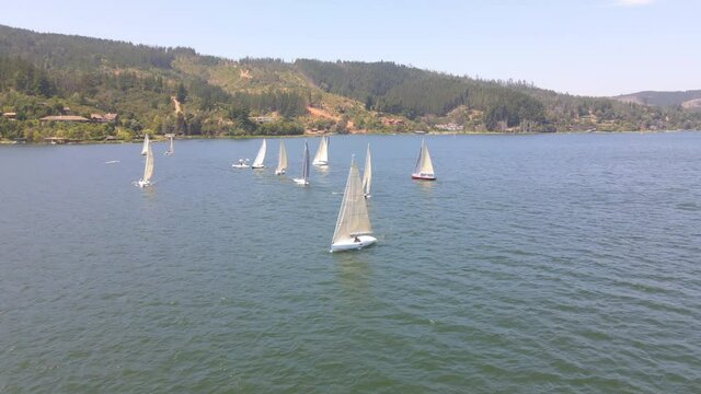 AERIAL - Sailboats during a regatta in Lake Vichuquen, Chile, static wide shot