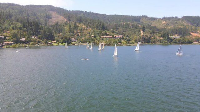 AERIAL - Sailboats during a regatta in Lake Vichuquen, Chile, wide shot backward