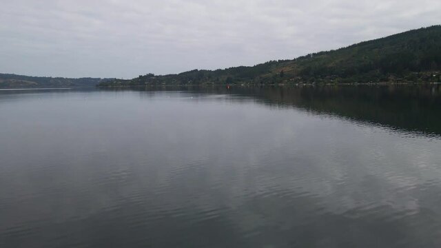 AERIAL - Black-necked swans in Vichuquen Lake, Chile, wide shot forward