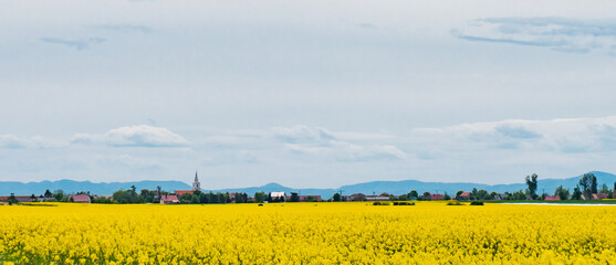 View on rapeseed field and village church with mountains on background.
