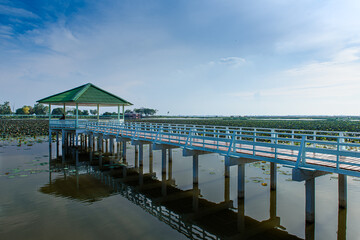 Obraz premium wooden pier in the sea