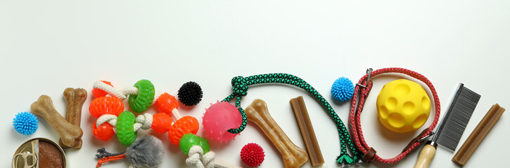 Pet accessories on white background, space for text