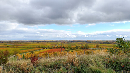 Obraz premium Clouds over vineyard
