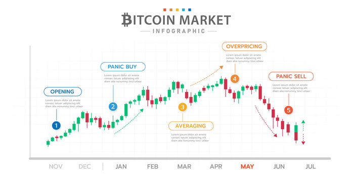 Infographic template for business. Bitcoin Timeline diagram with market phases, cryptocurrency presentation infographic.