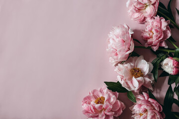 Moody decorative floral corner, banner made of peonies flowers, petals isolated on pink table background. Empty copy space. Flat lay, top view. Picture for blog. Summer wedding or birthday concept. © tabitazn