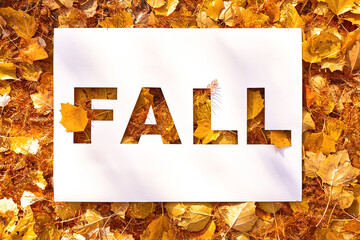Fall text cut out on white paper card lying on background texture of yellow and orange autumn fall leaves . Autumn flyer, banner or poster design template with copy space. Fall shopping concept.