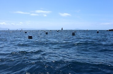 Obraz premium Napoli - Allevamento di cozze presso Borgo Marinari