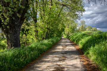 Obraz premium Road between fields, Godziszów, Powiat Cieszyński
